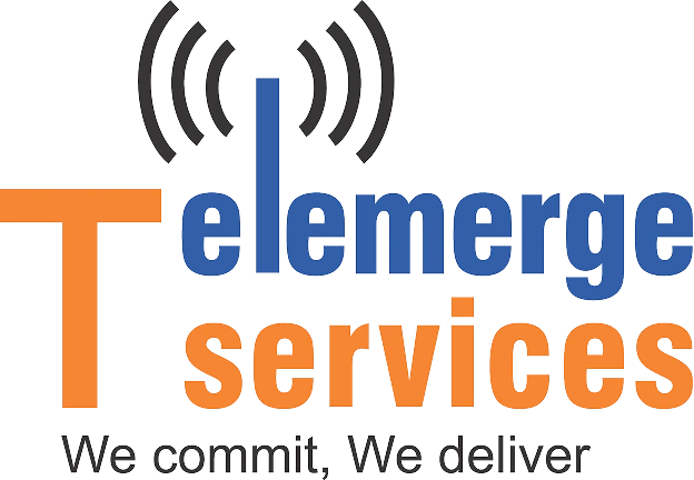 Telemerge Services Logo